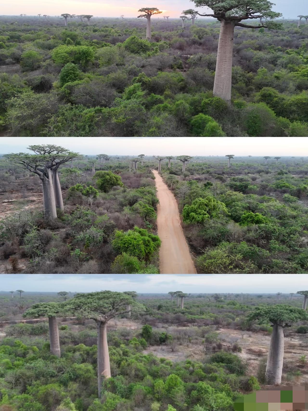 美国以南不去。奥地利以东不去。东南亚毫无兴趣。人生原则。尽量别去过于落后的地
