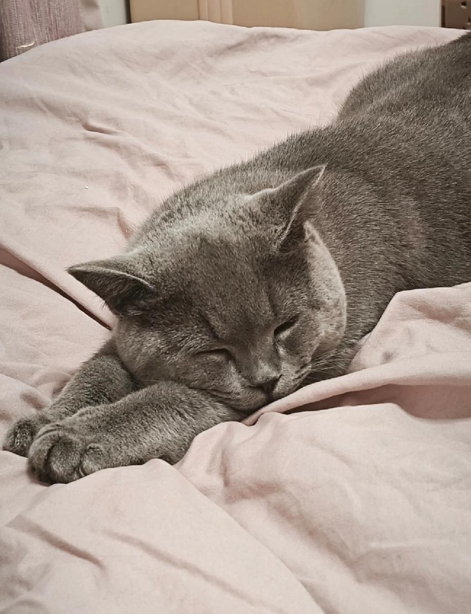 独生子女真的越长大越焦虑父母的养老问题😮‍💨爸妈都是失地农民，买的征地社保年