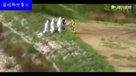 6206974270200357275.jpg?id=0