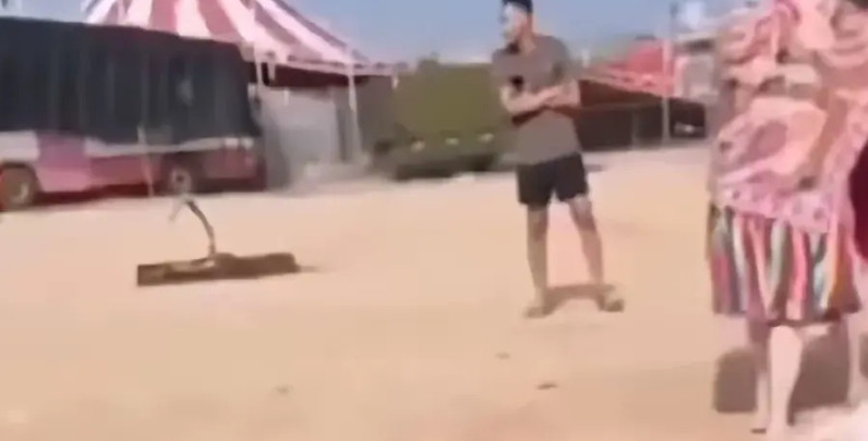 海滨大妈这事儿，别的不说，就想请教法律人士们一个问题：现实是小伙儿怂了，那如果小
