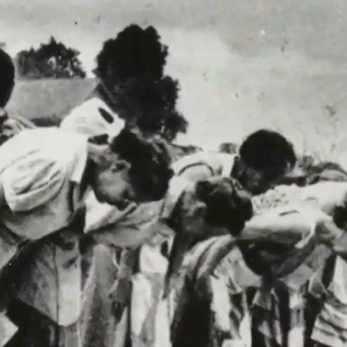 87岁老人撕开黑暗！二战日本集中营女性遭遇曝光罪证不容抹去87岁的罗妮-