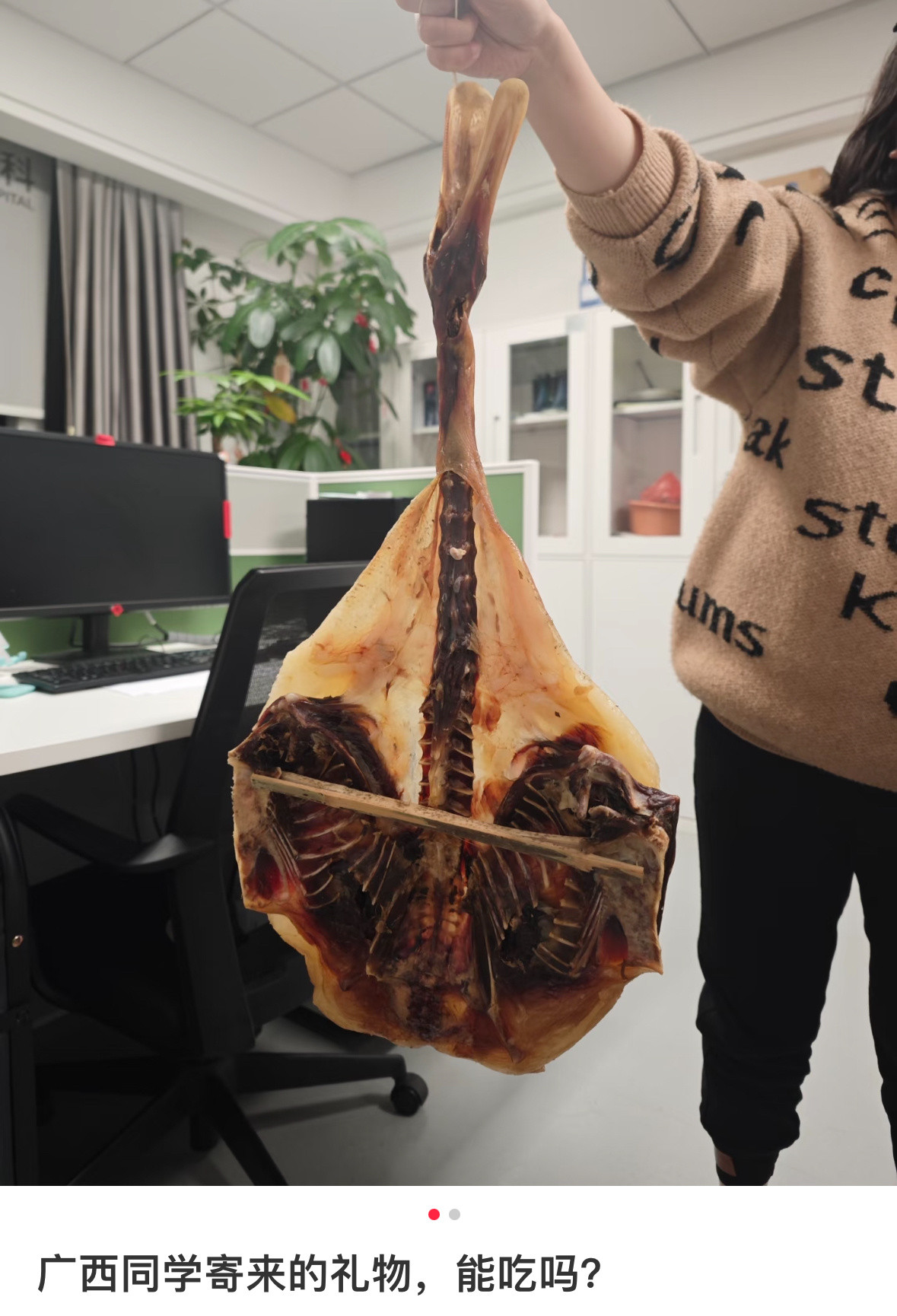 异形的周边做的都没你同学好广西同学寄来的特产地球人bug实录