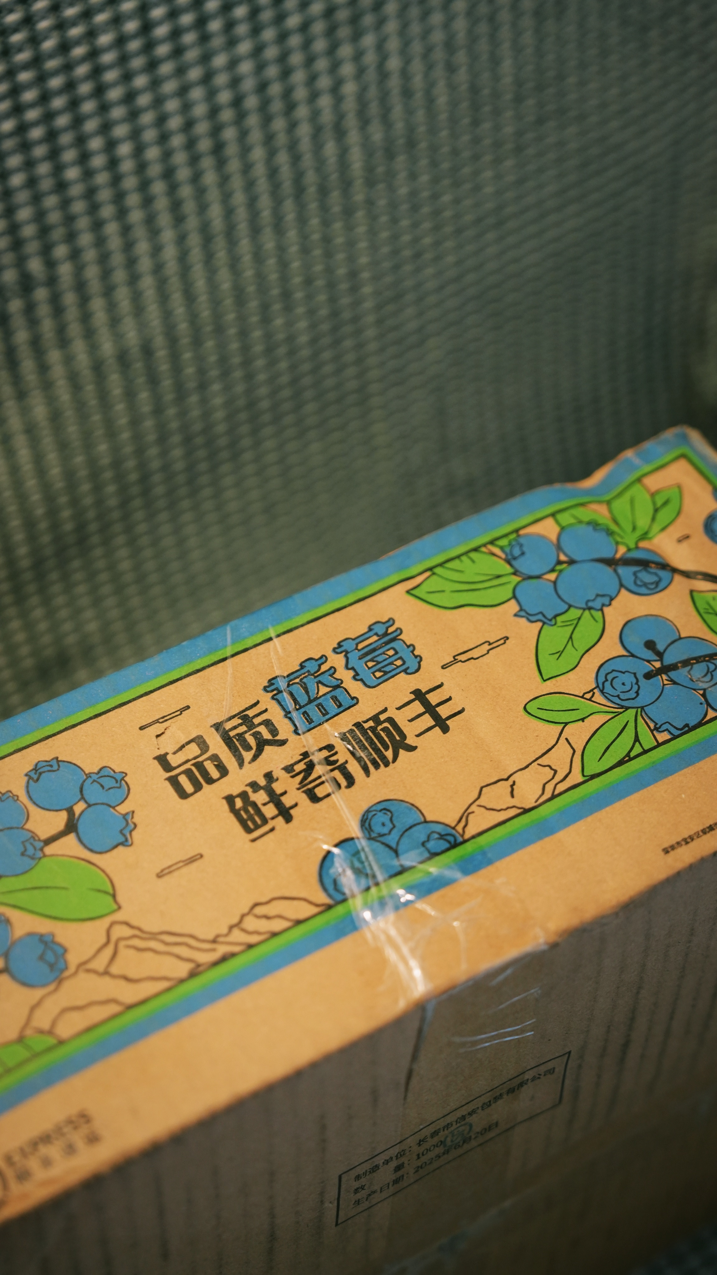 我套哥搞了些投喂，蓝莓，这个好啊，之前有个厦门的博主送我枸杞，想把我拉到他那个岁