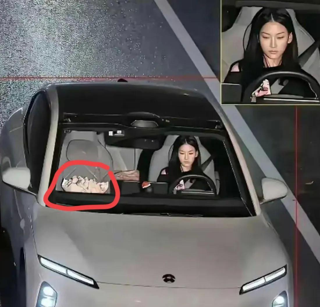 一张违章照火了？女司机颜值爆表，副驾东西成谜。这事其实根本没发生过。
