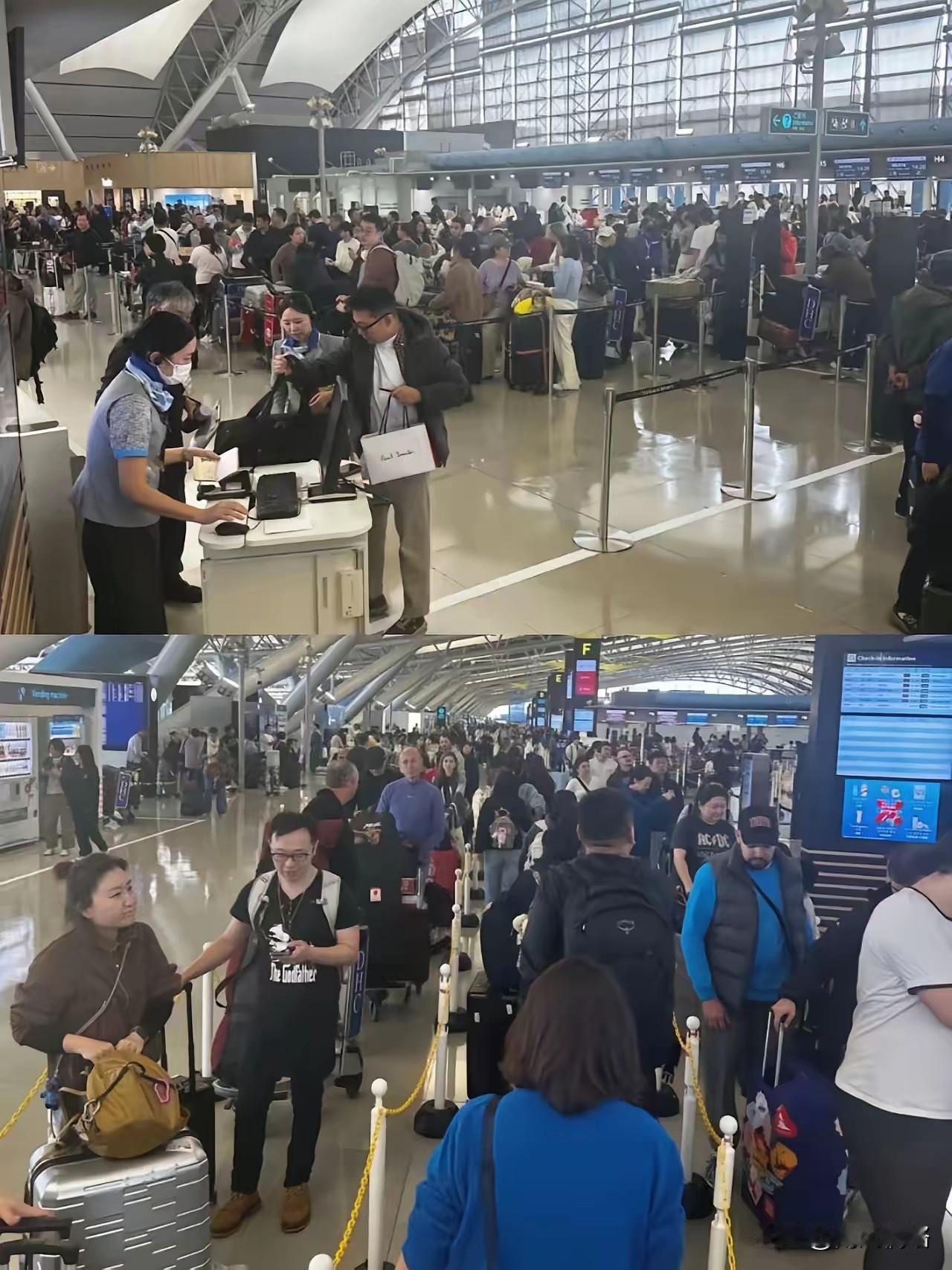 无视警告，就想去日本玩，现在想回来都不一定回得来了，慢慢在大使馆附近打地铺吧！