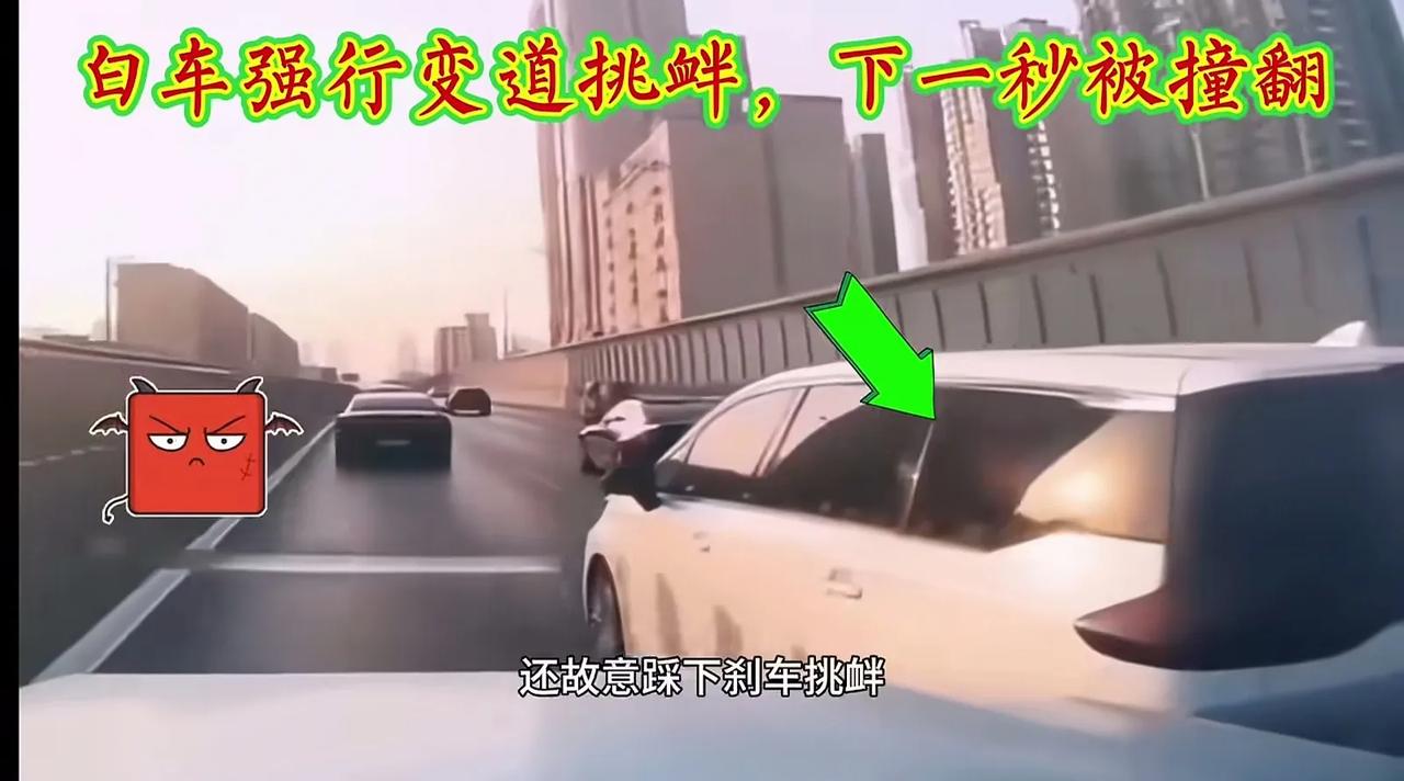 白车是什么车？