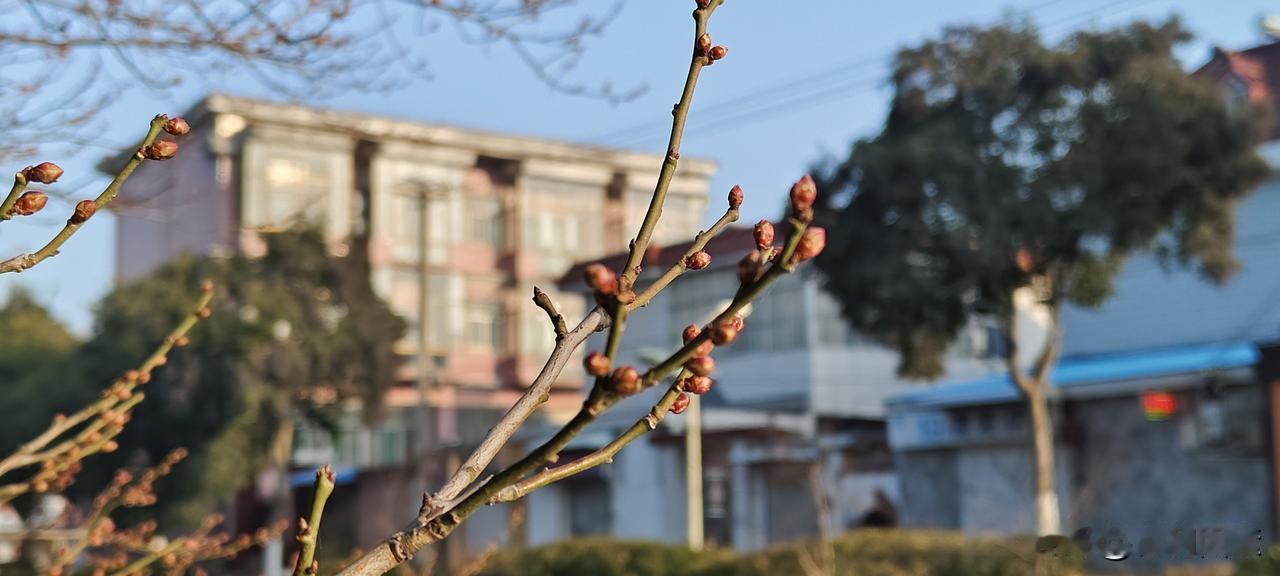 一副王炸，硬是被福建附院的一帮领导玩成了负资产中国跑得最快的护士张水华本是单位