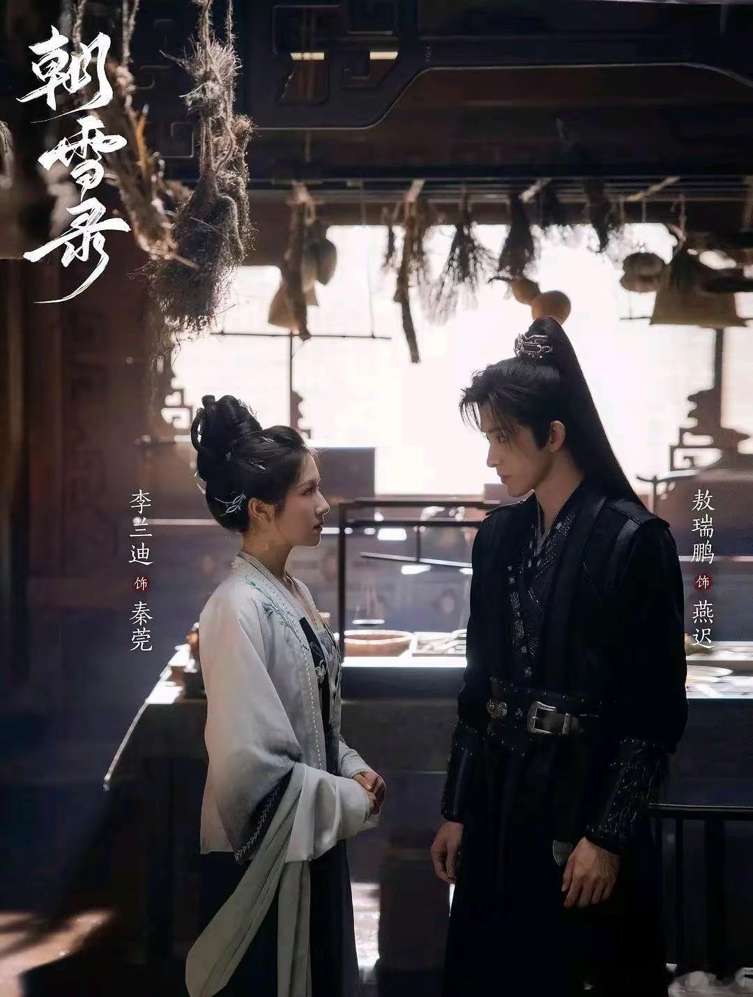 李兰迪10部热播剧大盘点！1、《朝雪录》主演：李兰迪，敖瑞鹏2、《苏记》2025