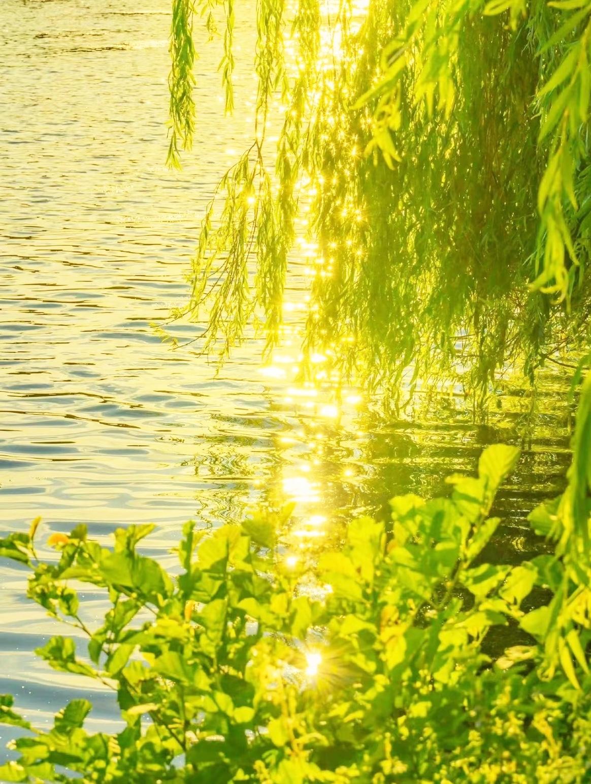 最近很火的一段话：“你嘴有多松，命就有多苦。你话多，说明你蠢；你话很多，说明