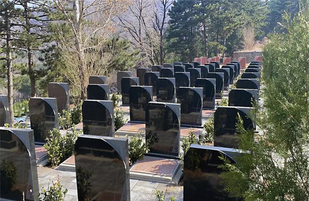 男子去父母墓地拜祭，顺便一次性缴清了20年的管理费，但他突然想到一个问题，浑身一