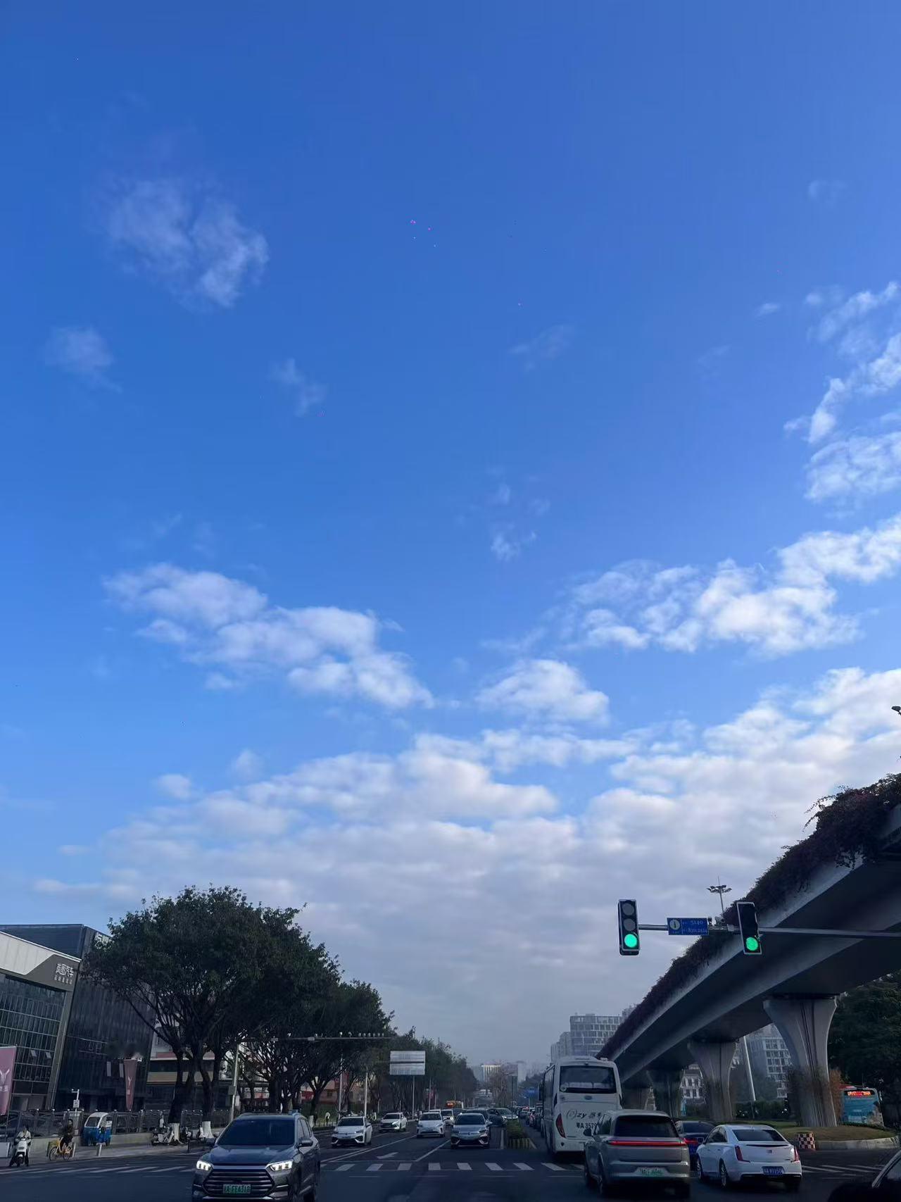 单位里发生了奇葩现象！单位上两个月来了一个00后，每天上下班还要她爸爸接送。办