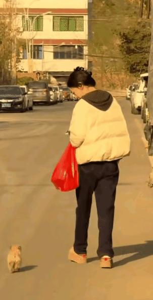 解释不清了！一女子，出门买完东西往家走，身后突然冒出只小奶狗。她满心疑惑，特意停