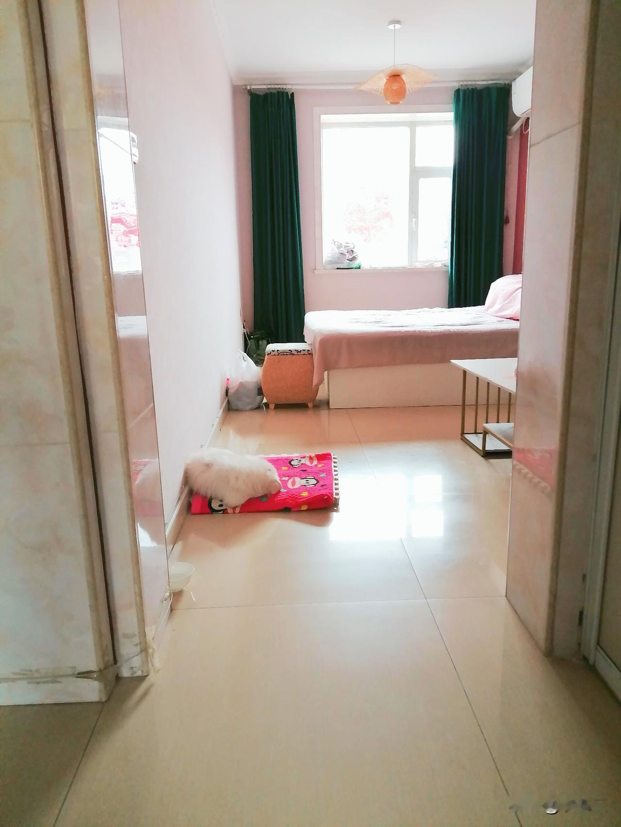 今天白天，我竟然睡了两个多小时。突然不想写了，就想过一种闲云野鹤的纯退休的生活。