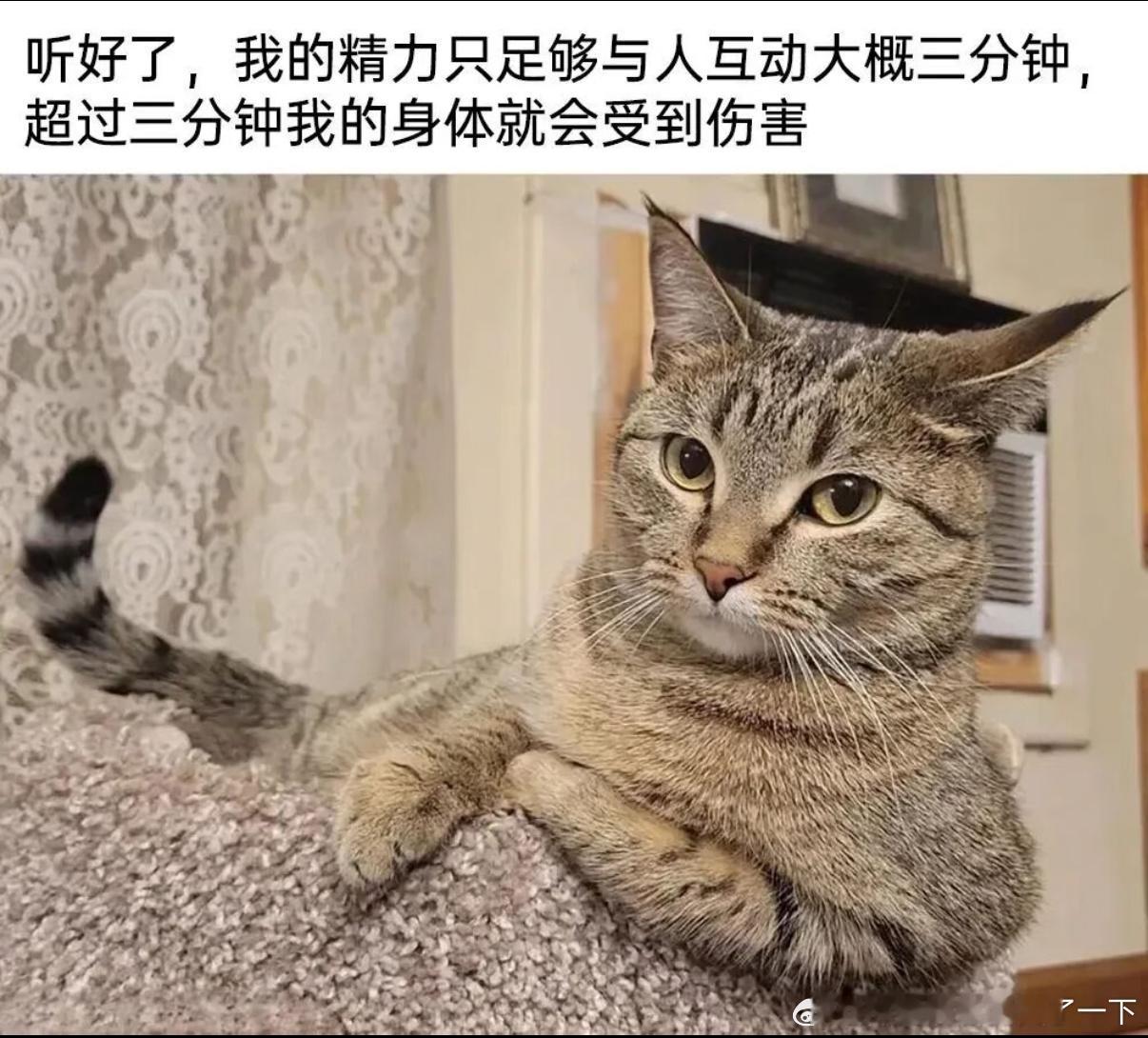5411请周知​​​