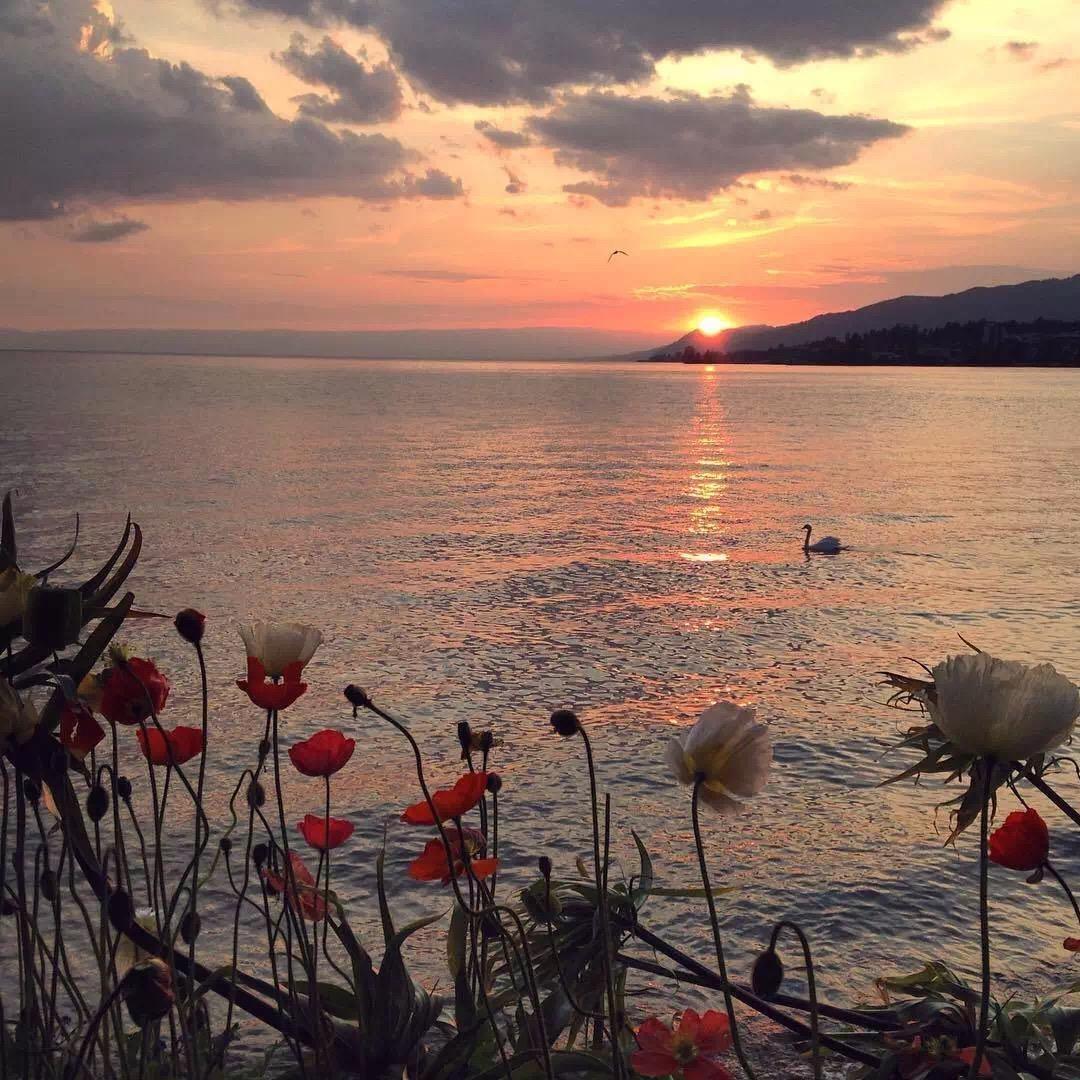 尤其是在这个“快餐式爱情”盛行的时代。我们身边充斥着各种短平快的爱情故事，似乎只