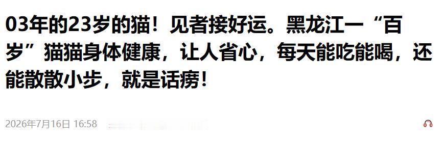 万物皆有灵！黑龙江黑河。一只出生于03年的猫咪已23岁高龄，换算成人类年龄足有1