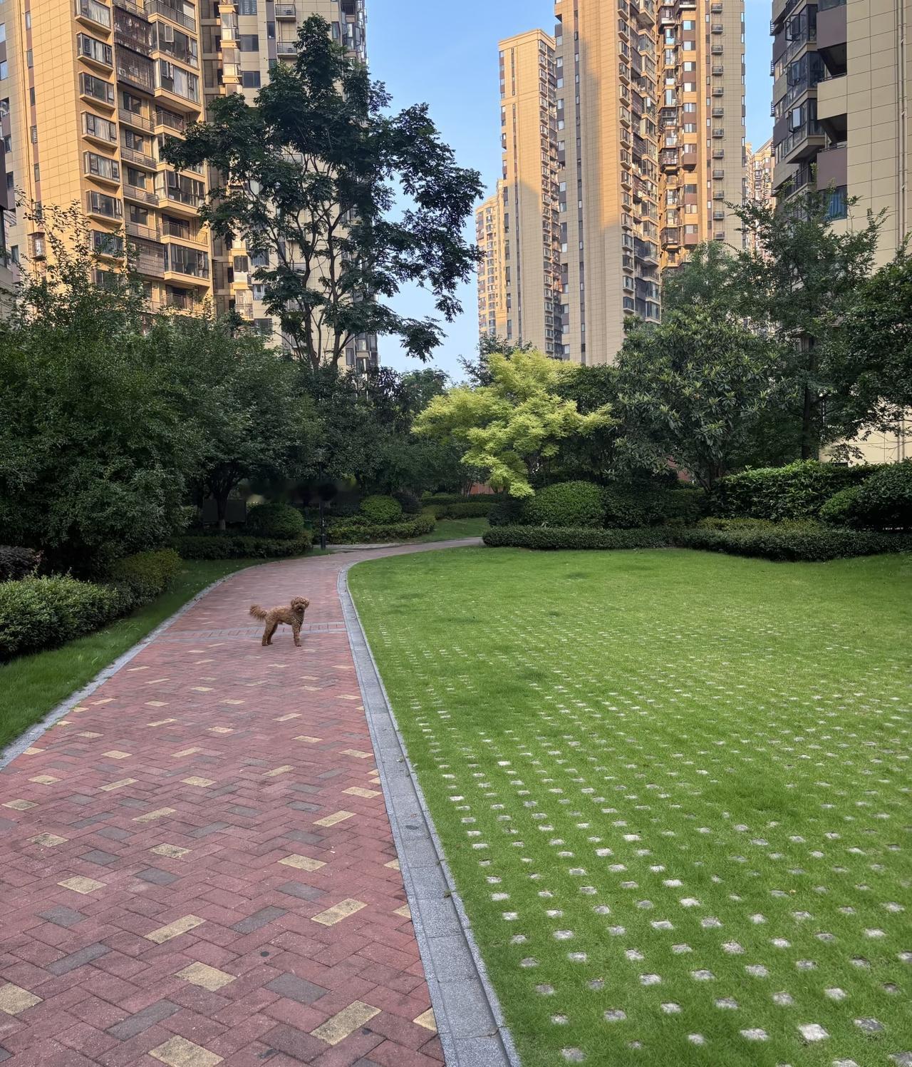 真的快愁死了，昨晚上我儿子又抱着我哭了一场。他今年才24，好好的一个小伙子，摊上