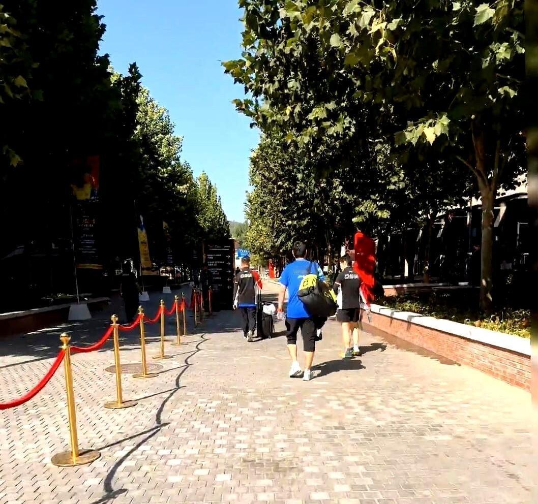 孙颖莎的白包，没人碰，但里头的每根胶皮都懂她。国家给她配了编制内的“移动管家”