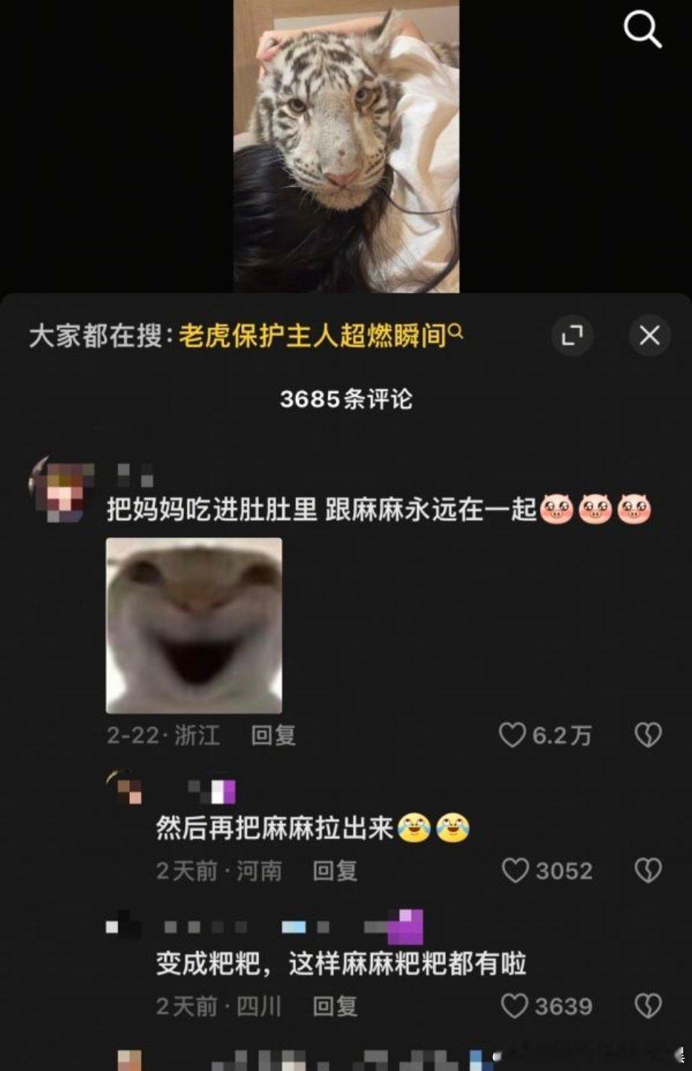 原视频是女生和自家养的老虎贴贴，评论区的溅评论就这么会破坏氛围恶心人