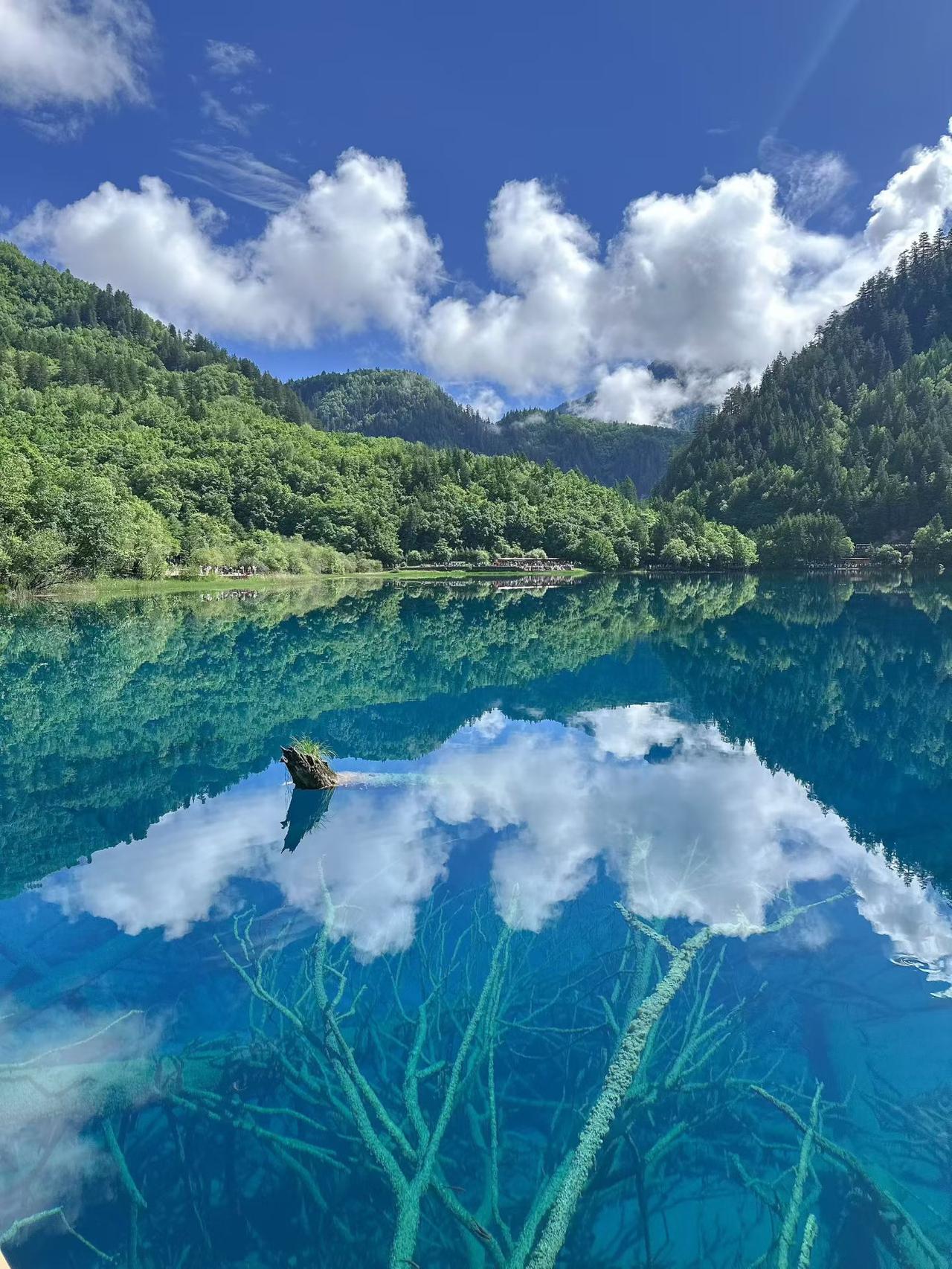 山静云自闲，水清月相照。在这如梦似幻的山水之间，微风轻拂，树叶沙沙作响，仿佛是大