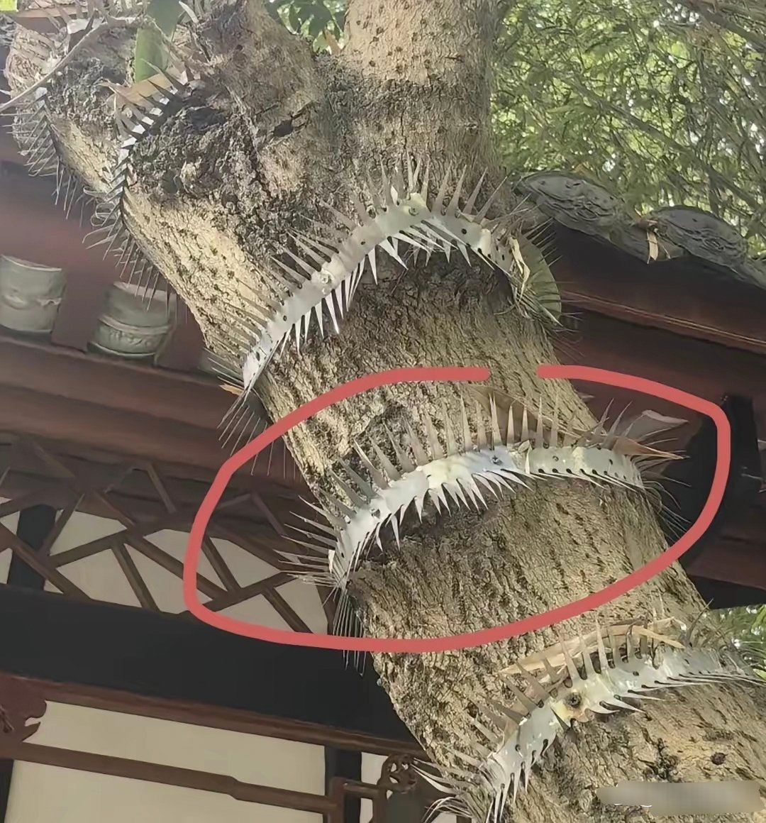 不懂就问，这是防什么的