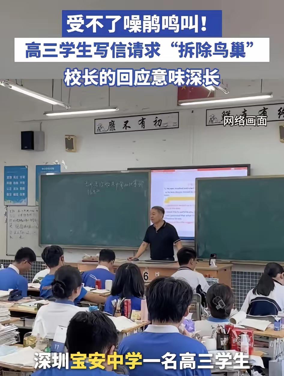 最近，深圳宝安中学有个高三学生，因为学校里的噪鹃鸟整天叫个不停，实在受不了，就写