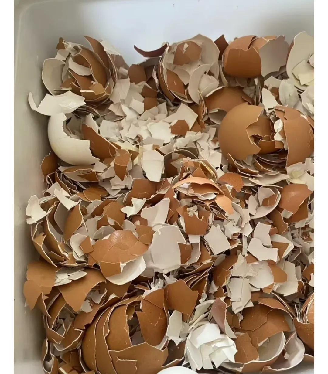 自己还是太孤陋寡闻了，鸡蛋壳都能卖钱？！都什么人群会购买？是不是为你提供了一点创