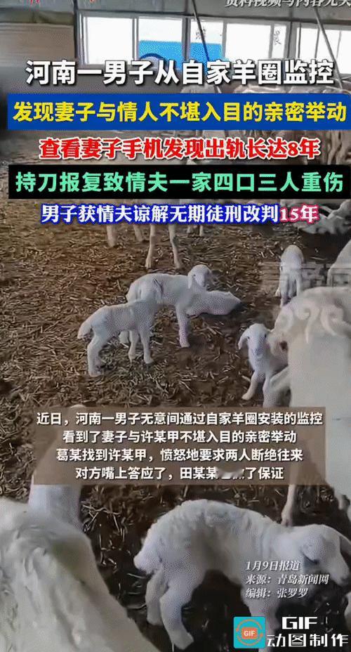 “比电视剧还精彩!”河南，一男子外出打工时，通过手机远程查看自家羊圈监控时，意外