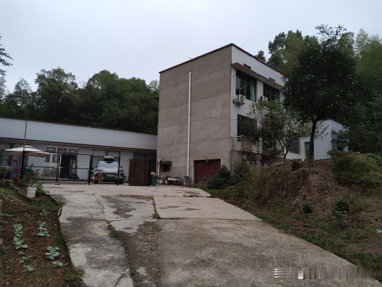 在长沙郊区6000元一年租了个农家小院养老！我们的租房合同是第一年6000元，之