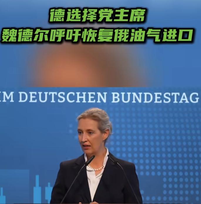 9月14日，德国选择党主席魏德尔呼吁恢复从俄罗斯进口石油和天然气。她称德国应像亚