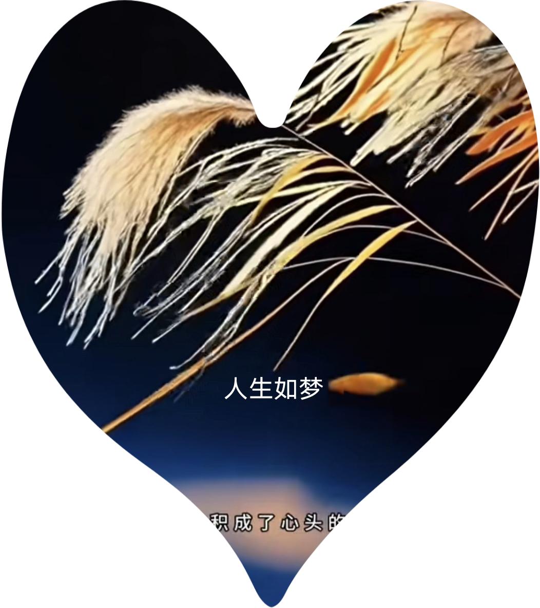 人生就是一场梦！有位火化工说，他最多的一天烧了61具遗体，他觉得生命真的很狼狈