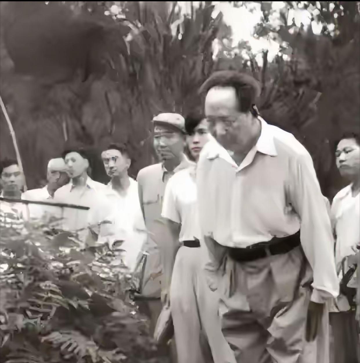 1959年，伟人回到韶山，站在父母坟前说：就我一人来了，润莲死在新疆，润