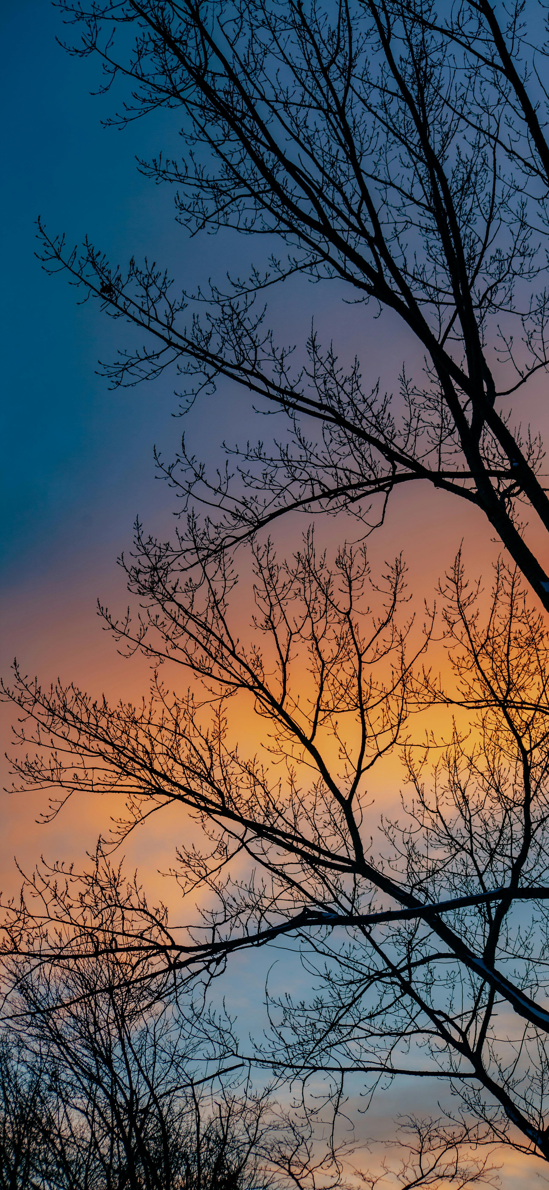 周五周五敲锣打鼓兄弟们早～