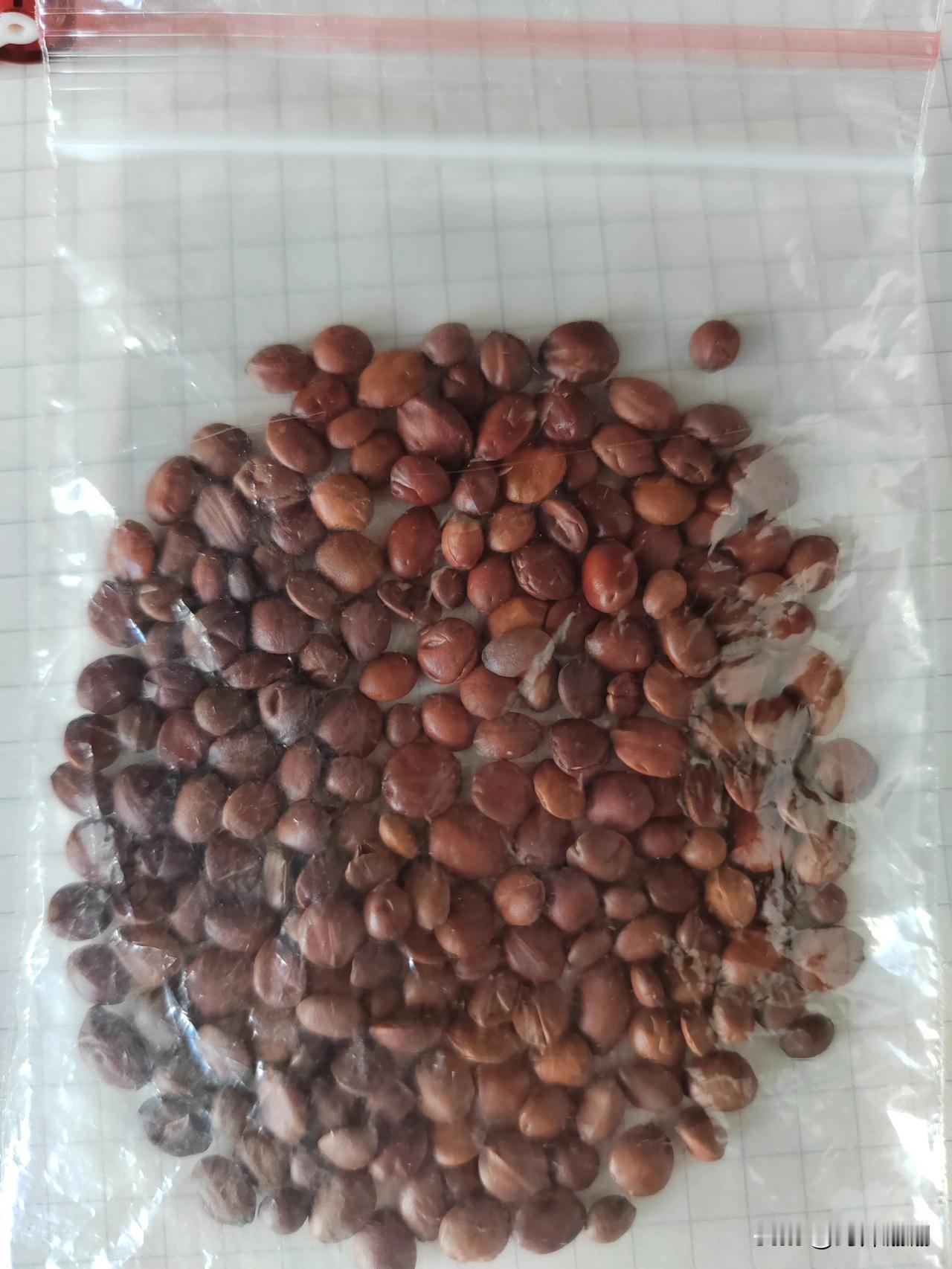 今天一位同事来药房，说要弄点睡眠的药来吃，说一晚上醒几次，睡眠质量太差了。我就给