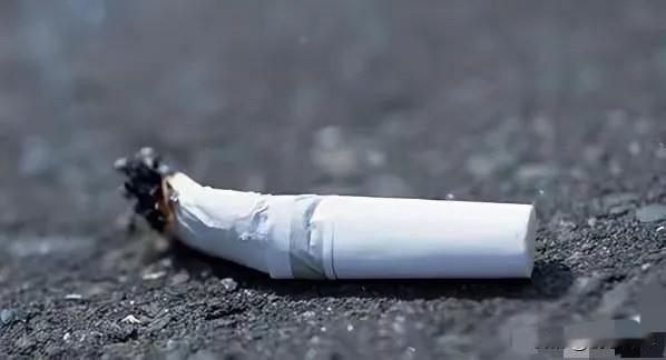 开国大典前，22岁战士发现1个烟头，揪出3000特务，守住百年盛典1949年