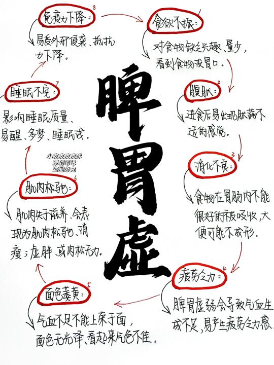 花了一晚上终于把脾胃虚弱梳理明白了！