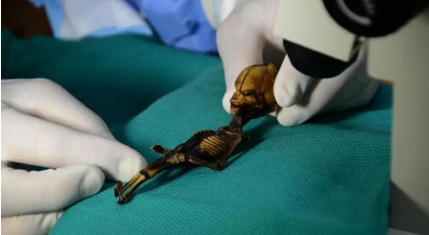 2003年，智利一个探险者在沙漠，无意中发现了一具仅15厘米长的古怪遗骸！几乎所