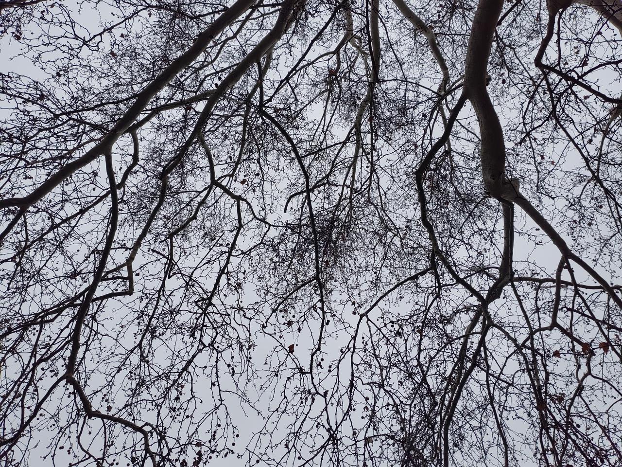 有时候，可以不信命，但要接受现实。一个人，父母是普通干部，上班工资高，退休自给