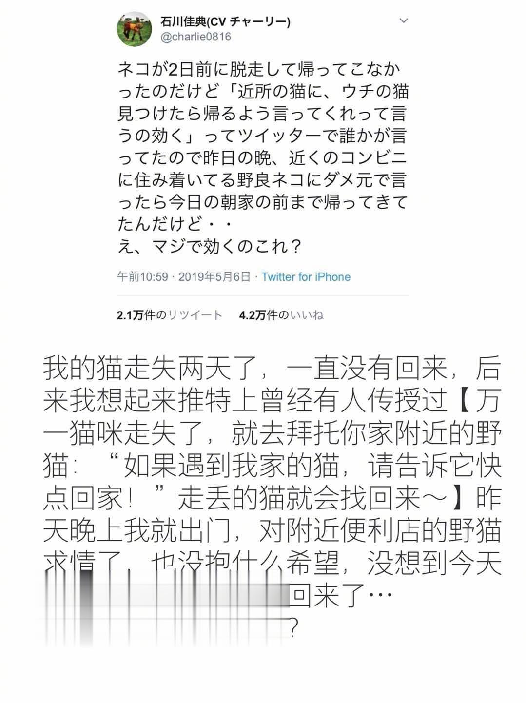 还有这种操作？？所以野猫互相之间都认识，还会劝离家出走的？？[捂脸哭]