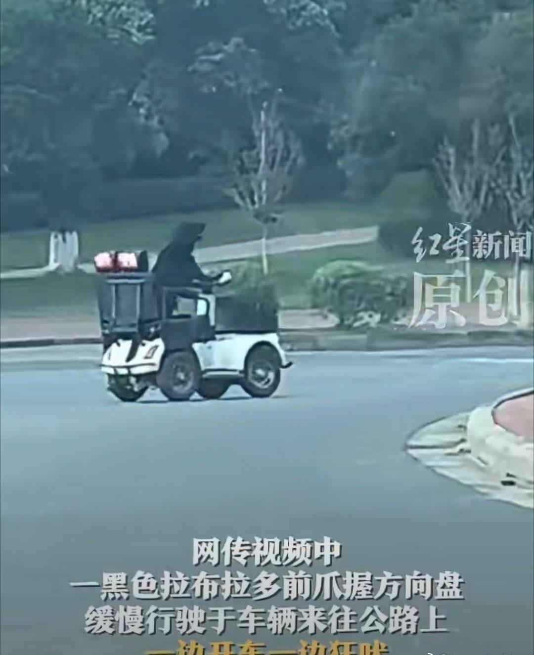 网友拍到一拉布拉多开电动车上路这也太离谱了，狗都开车上路了，不知道主人教它这个是