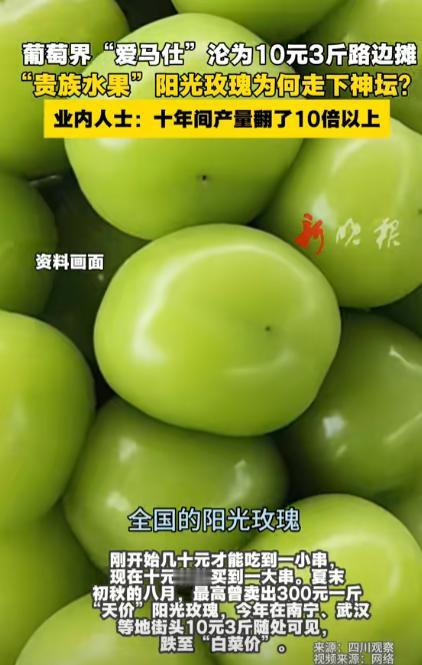 日本大概很后悔把阳光玫瑰葡萄引入中国，辛苦杂交、培育了接近20年的优质品种，本想