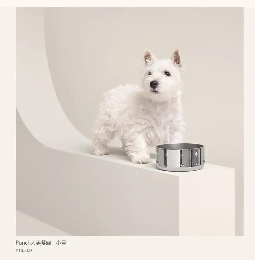 一个不锈钢的狗盆都能够卖到20600元，这是什么概念。难不成只要打上一个标签，