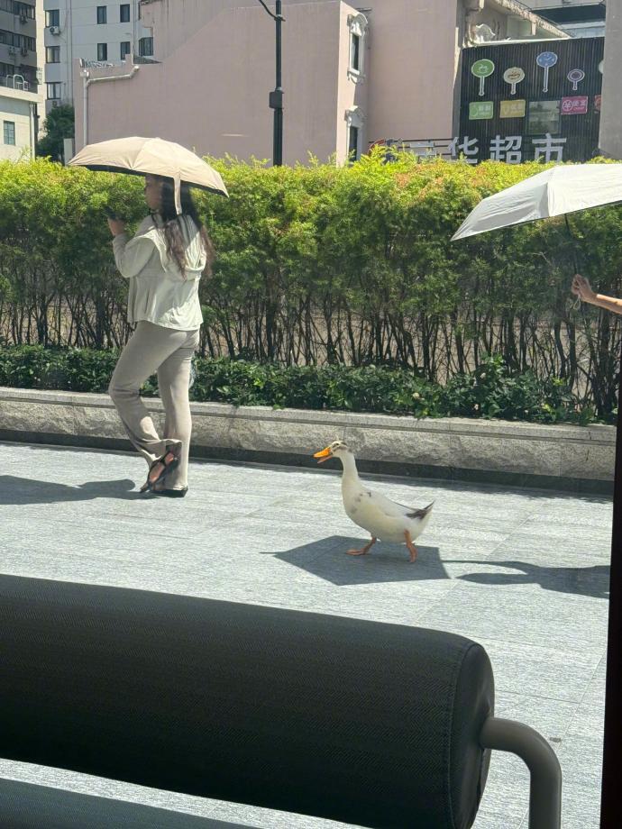 🦆：日子怎么可能跟谁过都一样​​​