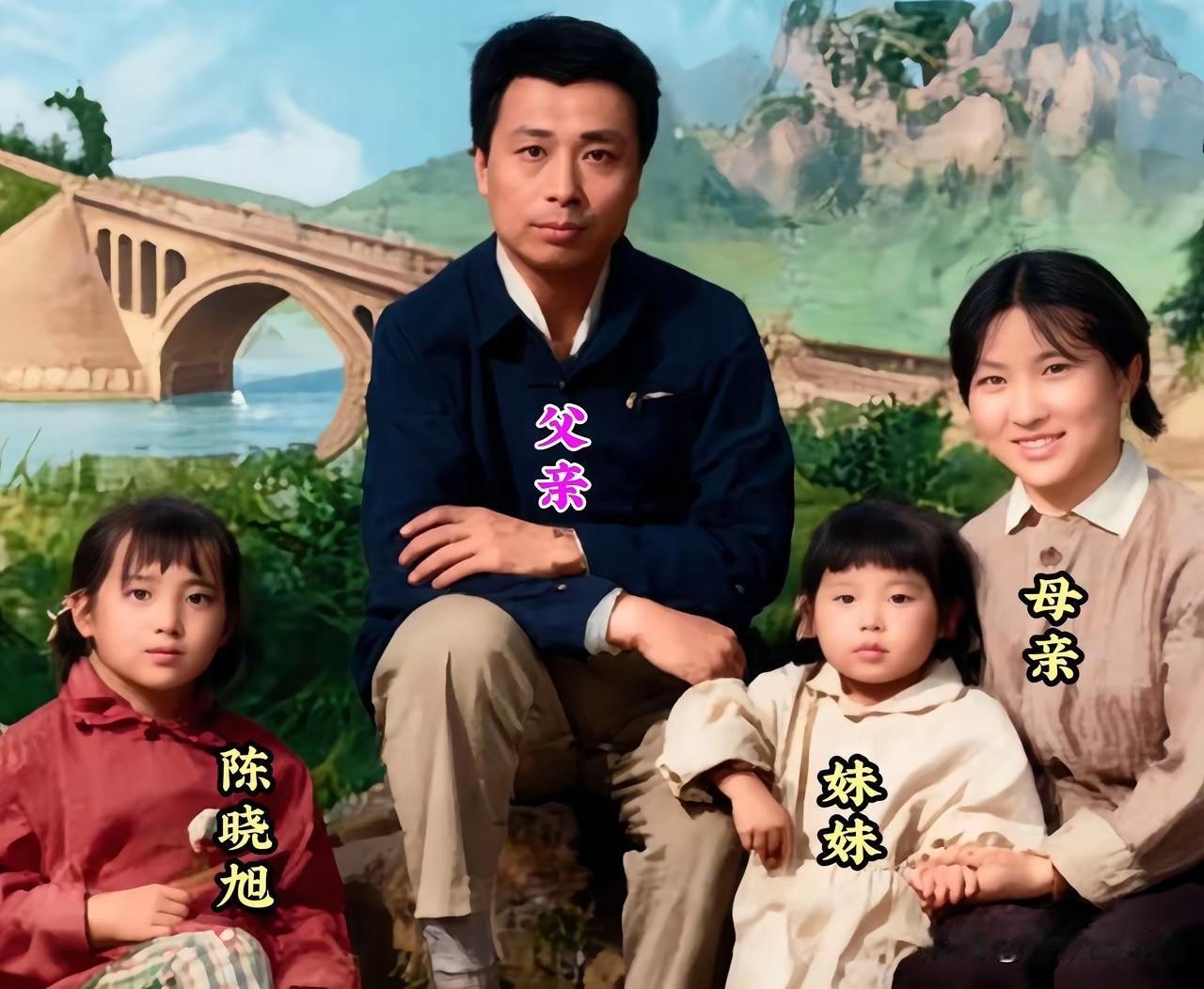 电视剧（红楼梦）中林妹妹特别火，陈晓旭出了大名，称为：无人能超越。陈晓旭一家