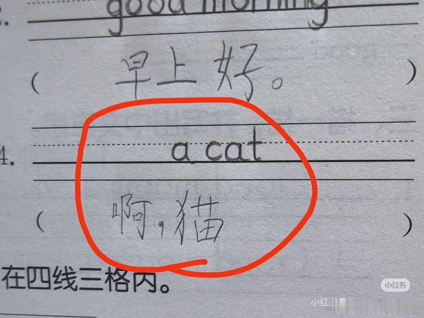 啊！​​​