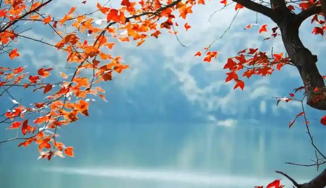 我老婆月薪3.2万，我弟弟结婚我妈让老婆出28万，老婆宁愿离婚也不出这个钱，我妈