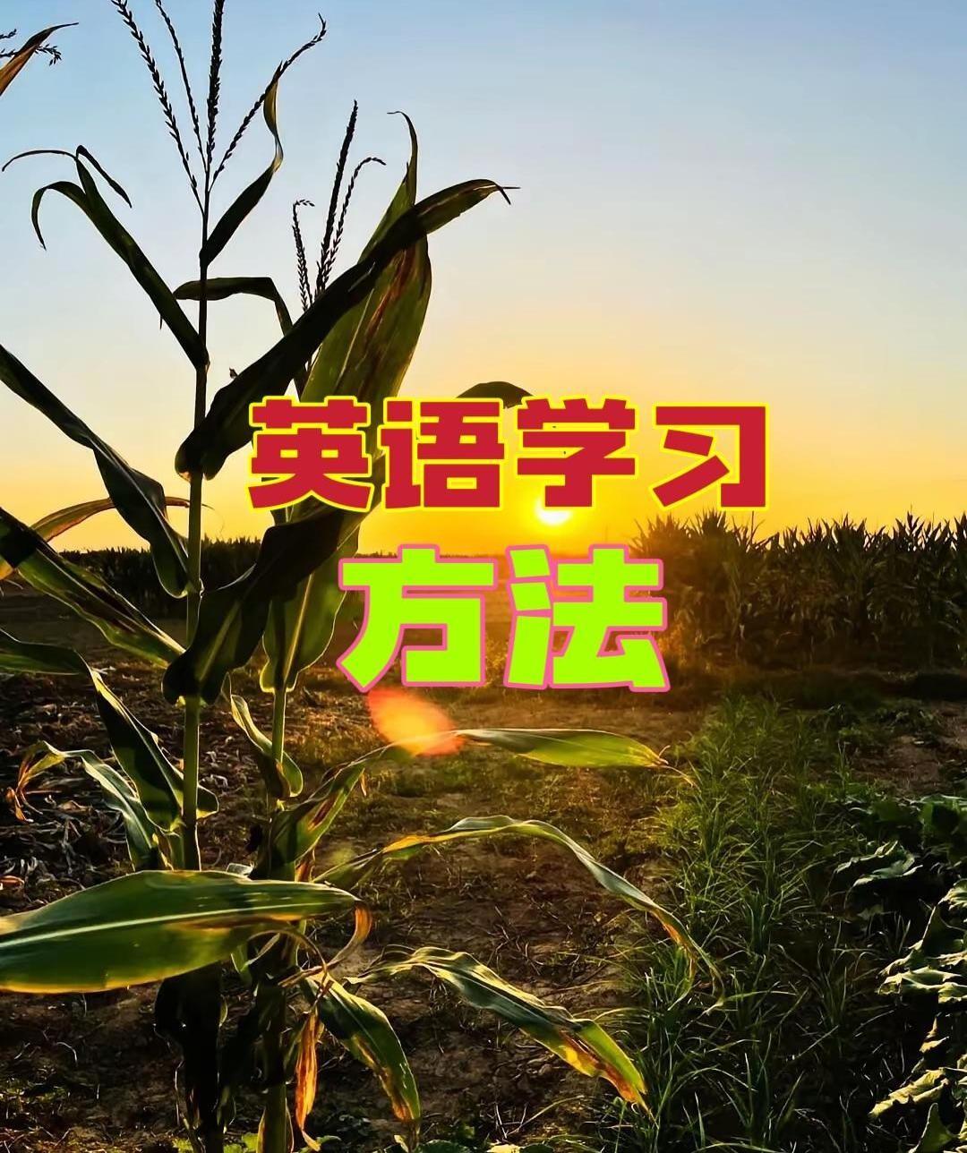 青岛那个38岁的王姐，真是个狠人。初中英语的底子，自己在家捣鼓了半年，就能跟老