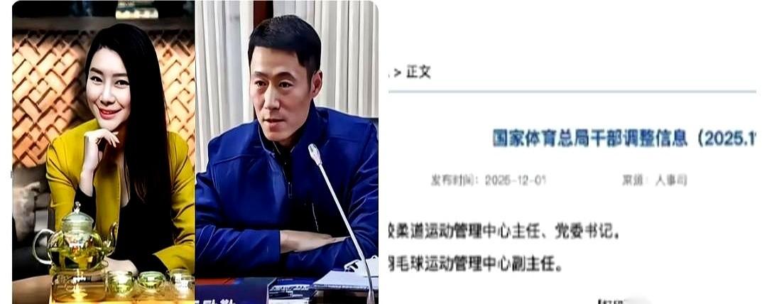 王励勤这辈子最牛的头衔：娶了个肯为他清空70万粉丝账号的女人