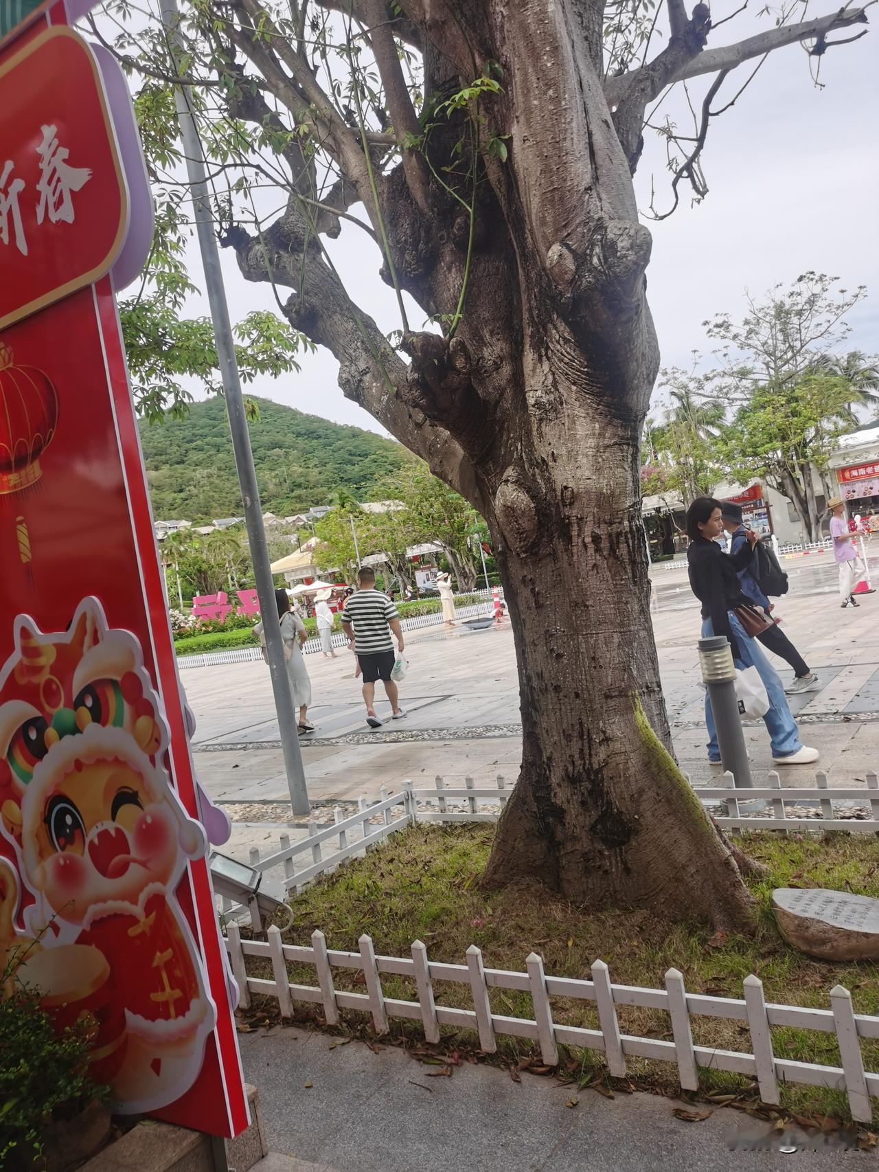 为了拍照“出片”的旅游，实在是害人不浅。“出片”需要花费很多游玩时间，要真效果