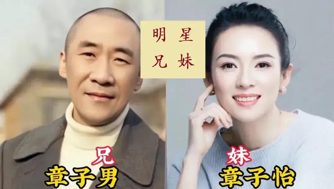 刘恺威兄妹俩颜值都很高。撒贝宁兄妹俩颜值都很高。齐秦姐弟俩颜值都很高。甄子